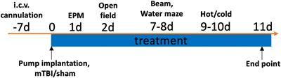 Treatment with vascular endothelial growth factor-A worsens cognitive recovery in a rat model of mild traumatic brain injury